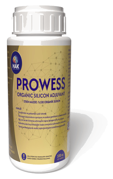 Prowess