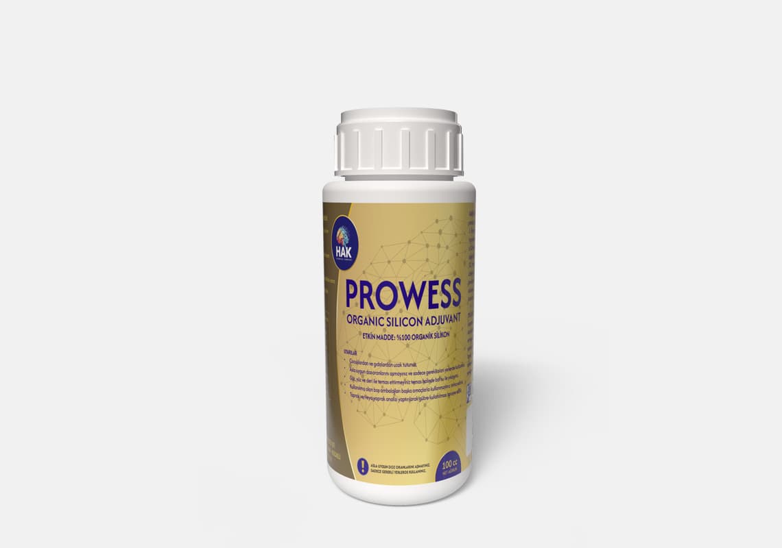 Prowess — görsel 2